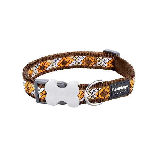 Red Dingo Bucklebone Monty Dog Collar - Brown