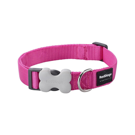 Red Dingo Bucklebone Classic Dog Collar - Hot Pink