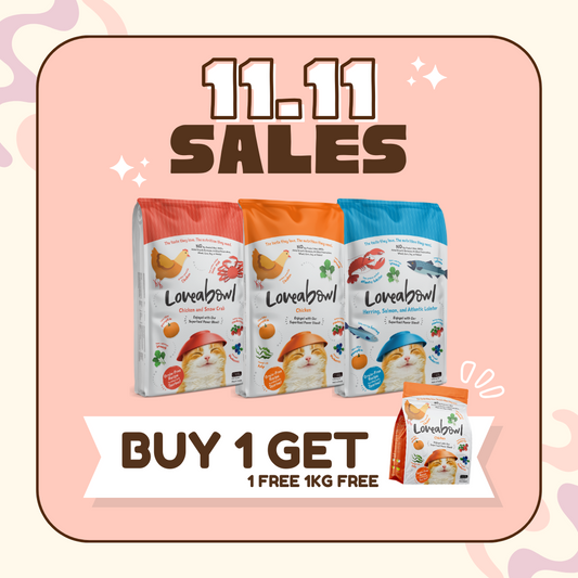 BUY 1 GET 1: Loveabowl Dry Cat Food 9.07kg