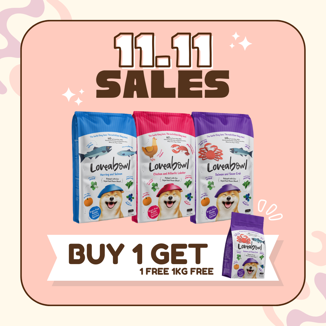 BUY 1 GET 1: Loveabowl Dry Dog Food 10kg