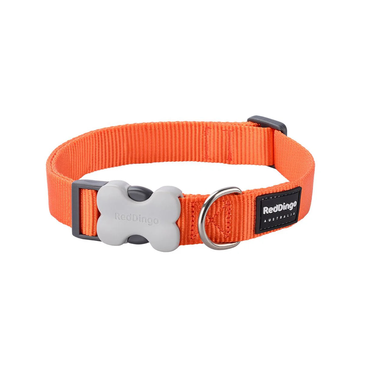 Red Dingo Bucklebone Classic Dog Collar - Orange