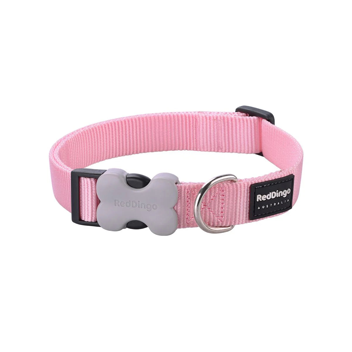 Red Dingo Bucklebone Classic Dog Collar - Pink