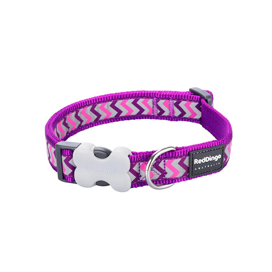 Red Dingo Bucklebone Reflective Ziggy Dog Collar - Purple