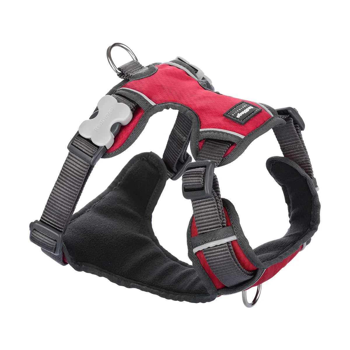 Red Dingo Padded Dog Harness - Red