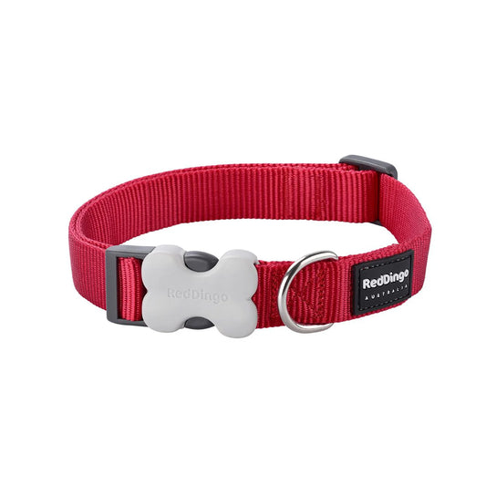 Red Dingo Bucklebone Classic Dog Collar - Red