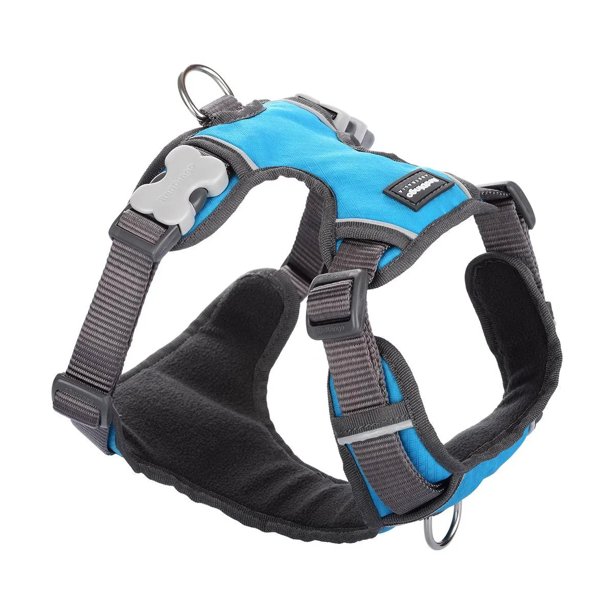 Red Dingo Padded Dog Harness - Turquoise