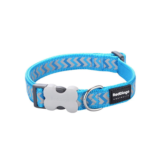 Red Dingo Bucklebone Reflective Ziggy Dog Collar - Turquoise