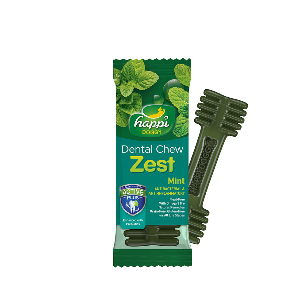 hapi-doggy-zest-regular-mint