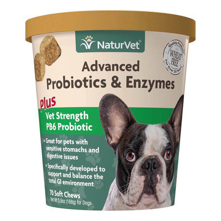 Naturvet Advanced Probiotics & Enzymes for Dogs