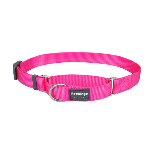 Red Dingo Martingale Halfcheck Dog Collar - Hot Pink