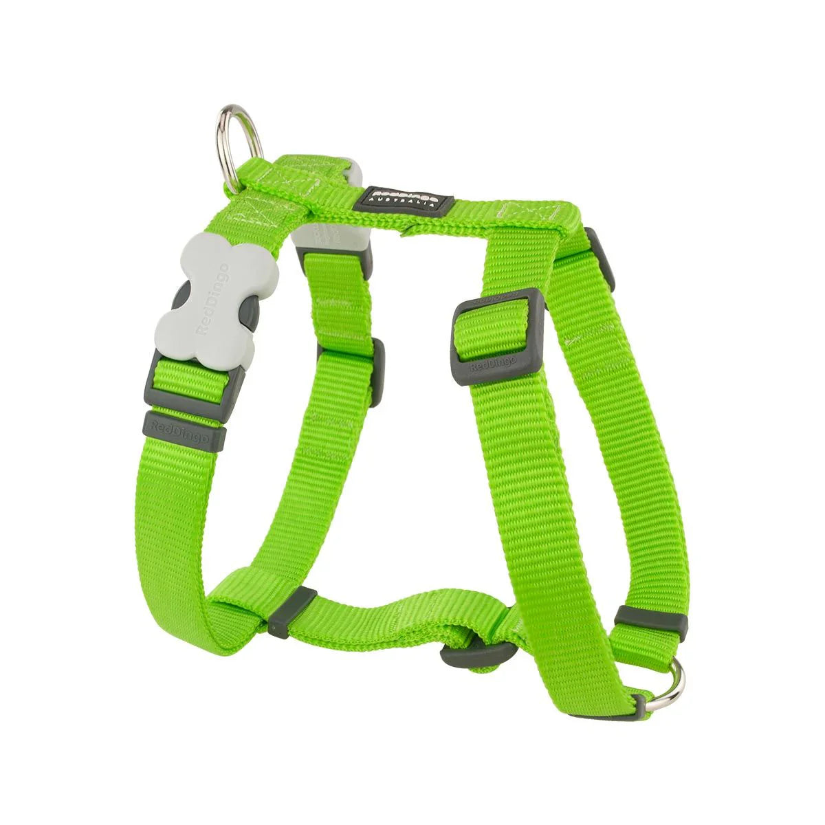 Red Dingo Classic Dog Harness - Lime Green