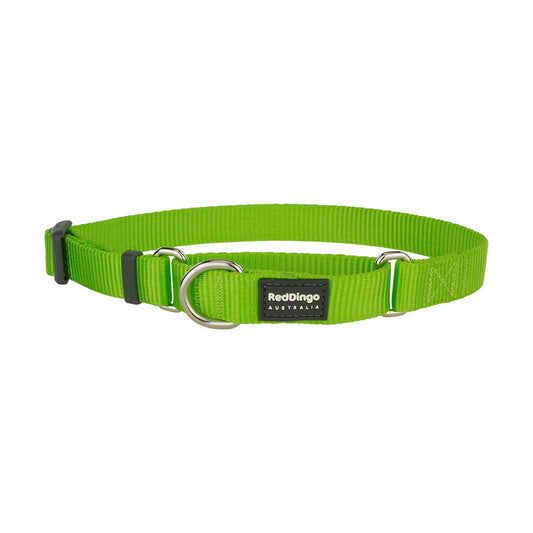 Red Dingo Martingale Halfcheck Dog Collar - Lime Green