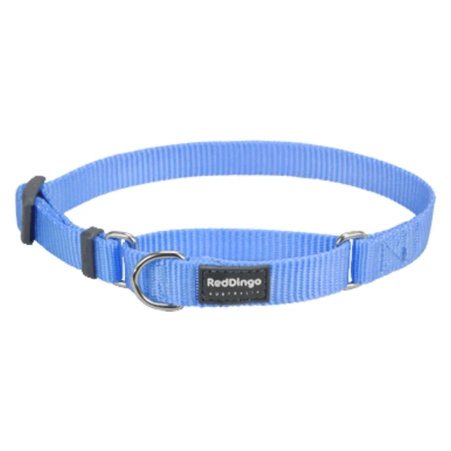 Red Dingo Martingale Halfcheck Dog Collar - Medium Blue