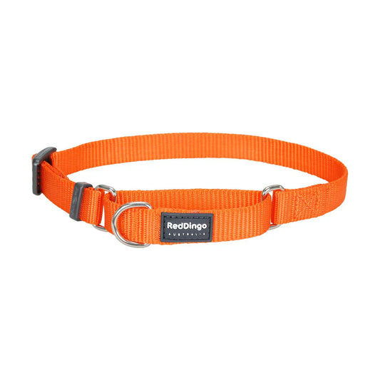 Red Dingo Martingale Halfcheck Dog Collar - Orange