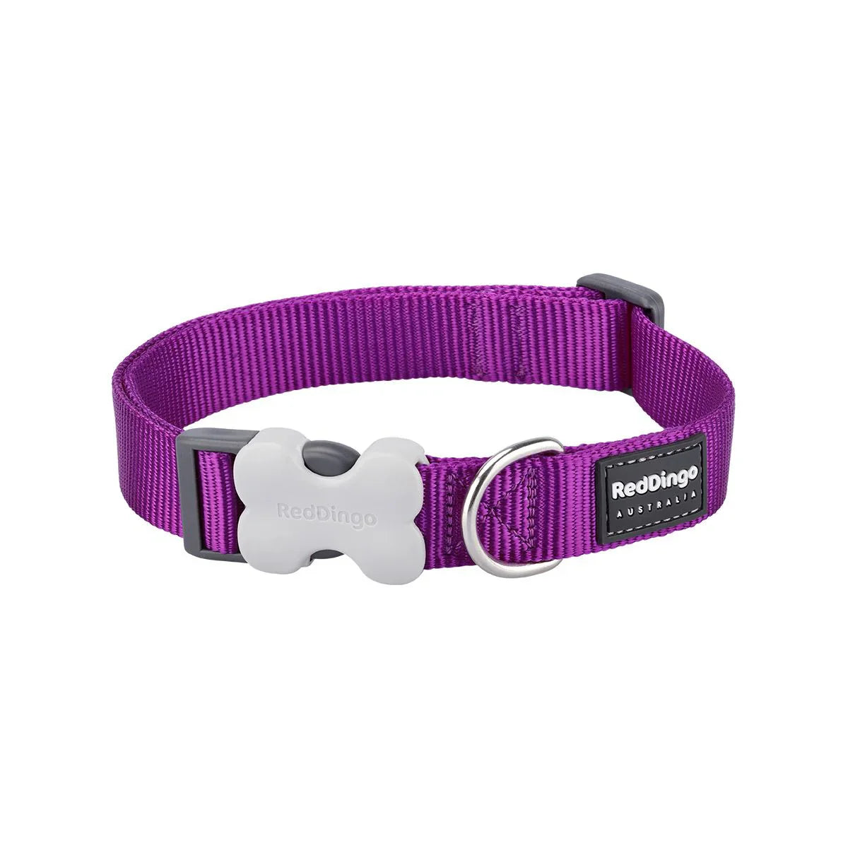 Red Dingo Bucklebone Classic Dog Collar - Purple