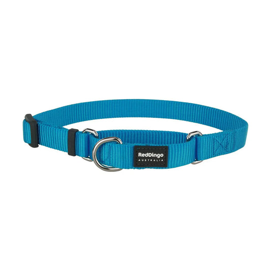 Red Dingo Martingale Halfcheck Dog Collar - Turquoise