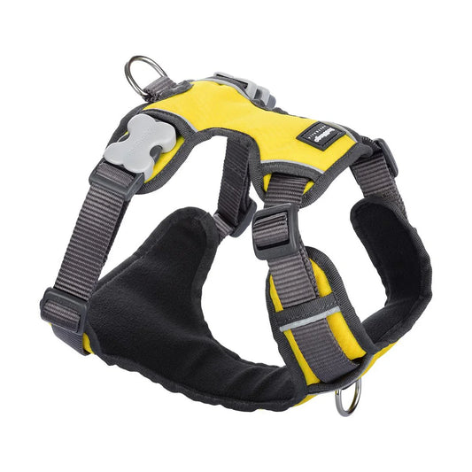 Red Dingo Padded Dog Harness - Yellow