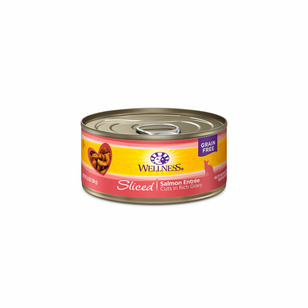 Wellness Complete Health Gravies - Salmon Entrée 3oz Wet Cat Food